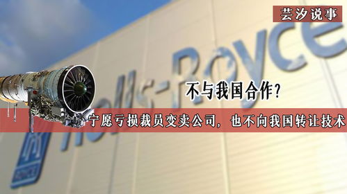 技術(shù)壁壘背后的博弈 當(dāng)合作遇冷，企業(yè)走向何方？